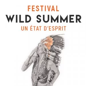 Affiche Wild Summer Festival