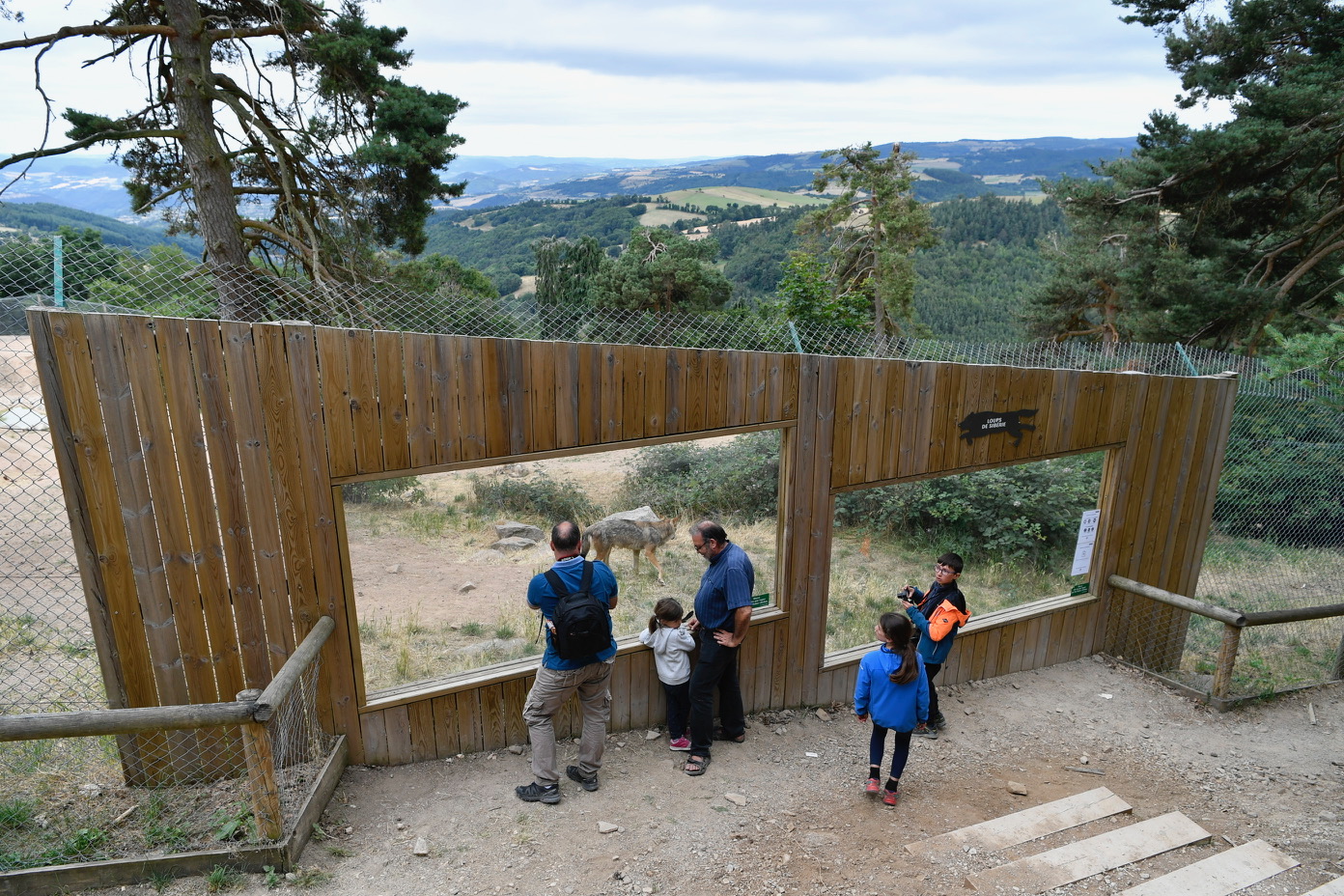 En Loz re Le Parc Des Loups Du G vaudan Fait Peau Neuve R gion 