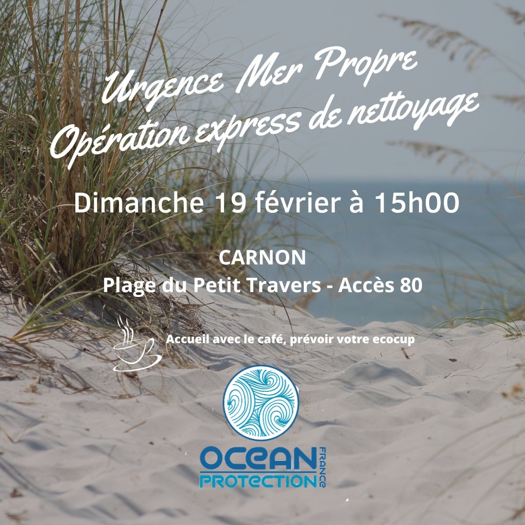 [ Urgence Mer Propre : Opération express de nettoyage ] - Dimanche 19 ...