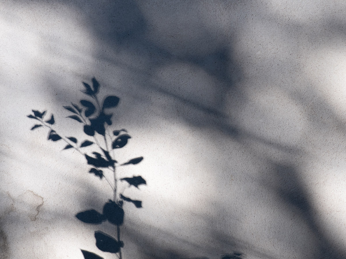 Espace Arthur BATUT Exposition photos Du 24 mai au 13 juin Région