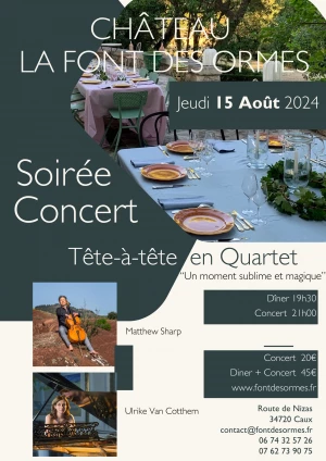 Affiche Soirée Concert
