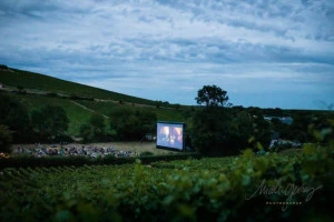 Affiche Ciné Vignes, les séances de cinéma en plein air sur la destination Sancerre-Pouilly-Giennois