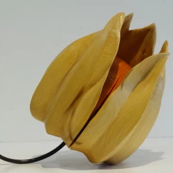 Physalis ou amour en cage - Bois de buis, 26 x 22 cm - 2020