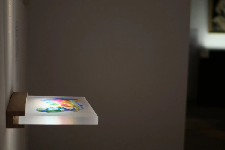 Altération - La méconnaissance du corps, 2024 - Irina P. 