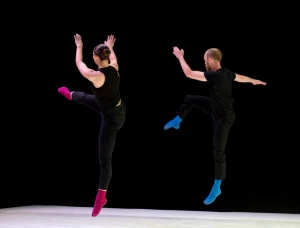 Affiche Wilder Shores - Cie Play / Michèle Murray