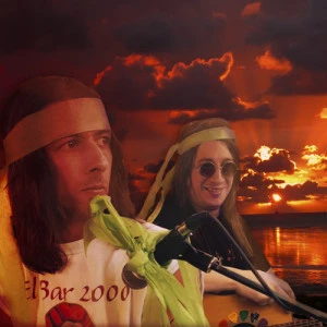 Affiche Karaoke Live Party II avec Guacamole