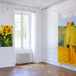 Vue d'accrochage exposition personnelle, Pac Aussillon, 2026