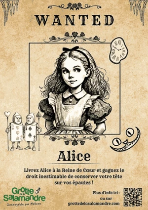 Affiche À la poursuite d'Alice