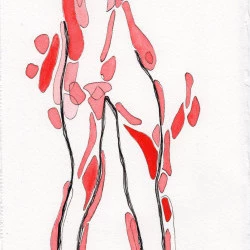 Série C.Tg., 8 - Dessin à l'encre sur papier et rehauts aquarelle - Dominique Ribes 