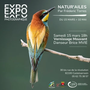 Affiche Vernissage Mouvant – Exposition photographique Natur'Ailes