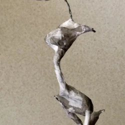 Délicate 3D - Papier mâché