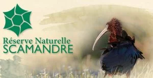 Affiche Réserve Naturelle du Scamandre découverte 