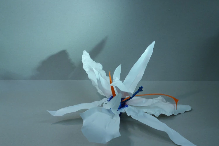 les fleurs du malplastique - contenant plastique recycling, mise en forme, soudure autogene dim 32 cm. 2018 - ©GeraldineLuttenbacher 