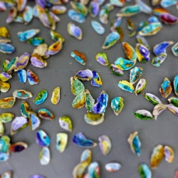 Autres - peinture vitrail sur coquilles d'huîtres, depuis 2008 - Gaëlle Dubois 