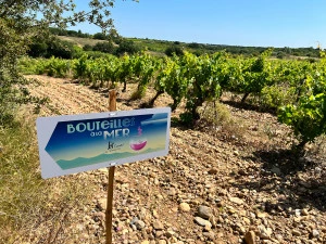 Affiche Bouteilles à la mer