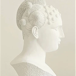 "NIOBE" (gros plan) - 2019 - Staturoc et Plastiroc 46x26 cm.