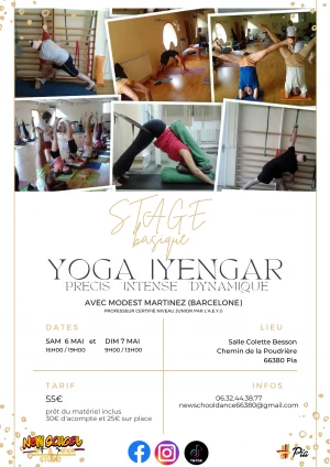 Affiche Stage Yoga IYENGAR