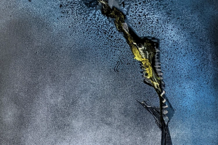 Femme hippocampe - Huile sur toile