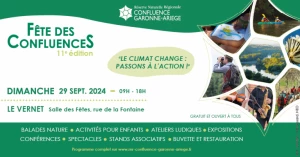 Affiche 11ème Fête des ConfluenceS