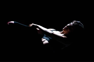 Affiche Salvaje - Je suis nombreuxses