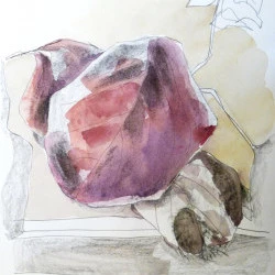 feuille - fusain, graphite, aquarelle - Corinne Tizien 