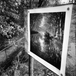 Sentier des Arts'bres, photos Hervé Baïs - Photos plein air - Hervé Baïs 