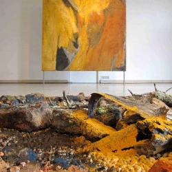 INSTALLATION - huile sur toile, 2000 230X206 /Pigments, Mineraux, végétaux