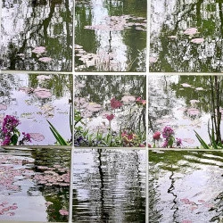Dans l'atelier des Nymphéas. Hommage à Claude Monet et à ma grand-mère. - 9 Tirages photographiques, 20x20 d'après des photos réalisées au Jardin de Giverny. - Catherine Stoll-Simon 
