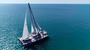 Affiche Découverte dauphin du Golfe du Lion 