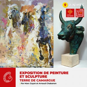 Affiche Exposition « Terre de Camargue » par Marc Guyot et Arnaud Chabanon