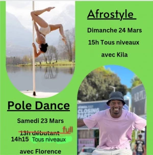 Affiche Stage pole dance et afrostyle