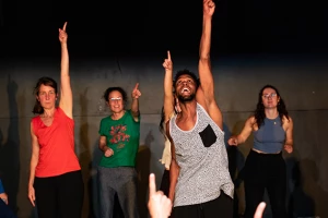 Affiche DES DANSES & DES LUTTES • Cie DANS6T