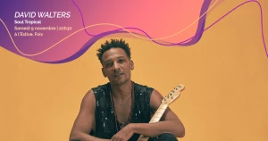 Affiche Concert David Walters "Soul Tropical"