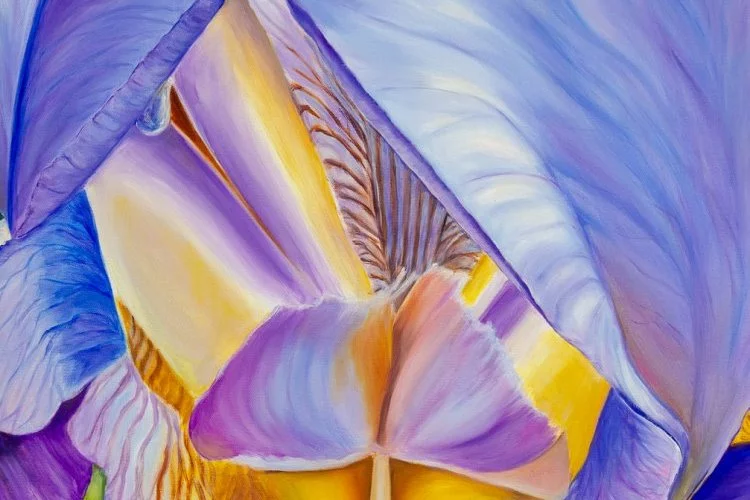 Cœur d'iris mauve - Huile sur toile 2021 50cmx50cm - Agnès Vangell 