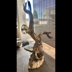 Shéerazade - Bois flotté, plâtre et argile