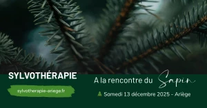 Affiche Sylvothérapie – Journée en forêt à la rencontre du Sapin