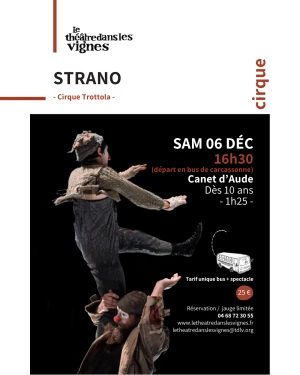 Affiche Strano // Cirque Trottola