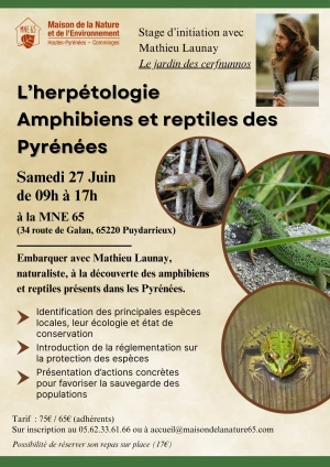 Affiche Stage : Initiation à l'herpétologie