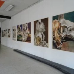 Série Noces, exposition à l'Artelier, Tarbes, mai 2015 - Tissu et huile sur toile, 2011- 2014, différents formats