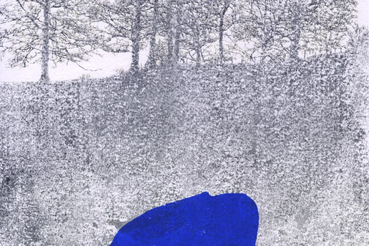 Bleu - Monotype et transfert à l'acétone sur papier 300g - 2026 - Zabel Charrié 