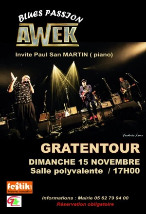 Affiche AWEK, concert blues passion