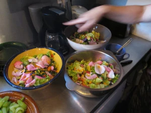 Affiche Récolter et cuisiner les plantes sauvages en hiver