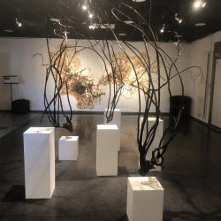 Le petit peuplement - Bois brulé de la forêt de la Teste, kintsugi, 2023