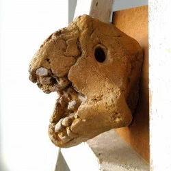 pleine de dentssss - terre cuite 20 cm 2018