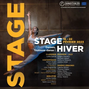 Affiche Stage Danses, Toulouse danse ! Édition hiver 2023