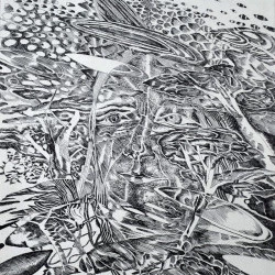 Mistral - eau-forte sur cuivre, 40 x 30 cm, 2016 - Elke Daemmrich 