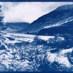 Toujours tout droit - Cyanotype sur papier Arches, 17x22 cm, 2019. Toujours tout droit - Julia Castel © 
