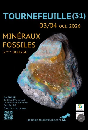 Affiche Bourse Minéraux et Fossiles
