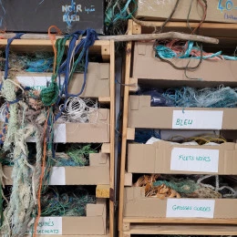 déchethèque - <p>vue du classement des déchets maritimes utilisés pour la réalisation d'oeuvres</p> - isabelle vannobel
