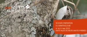 Affiche Séjour d'Initiation à l'Ornithologie